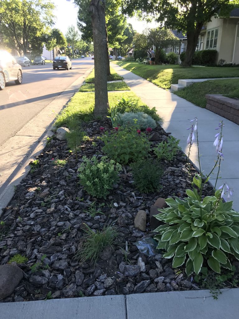 narrow garden between sidewalk and street, filled with bark mulch and several green plants