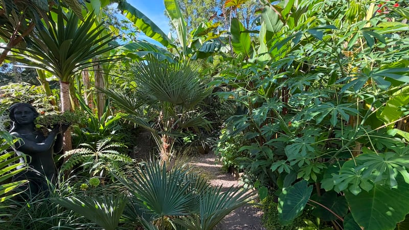 Create an exotic garden which will survive extreme weather