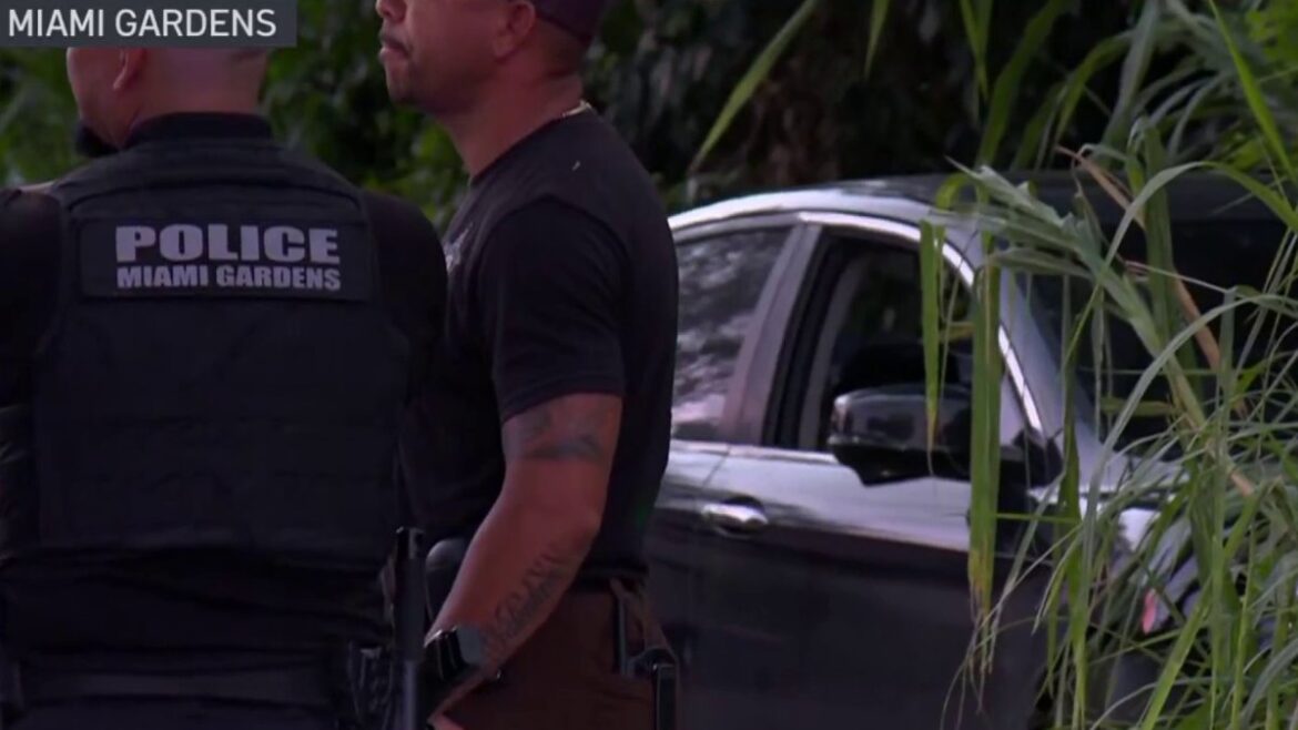 Suspect shoots at officers during police chase in Opa-locka and Miami Gardens, cops say – NBC 6 South Florida Suspect shoots at officers during police chase in Opa-locka and Miami Gardens, cops say – NBC 6 South Florida