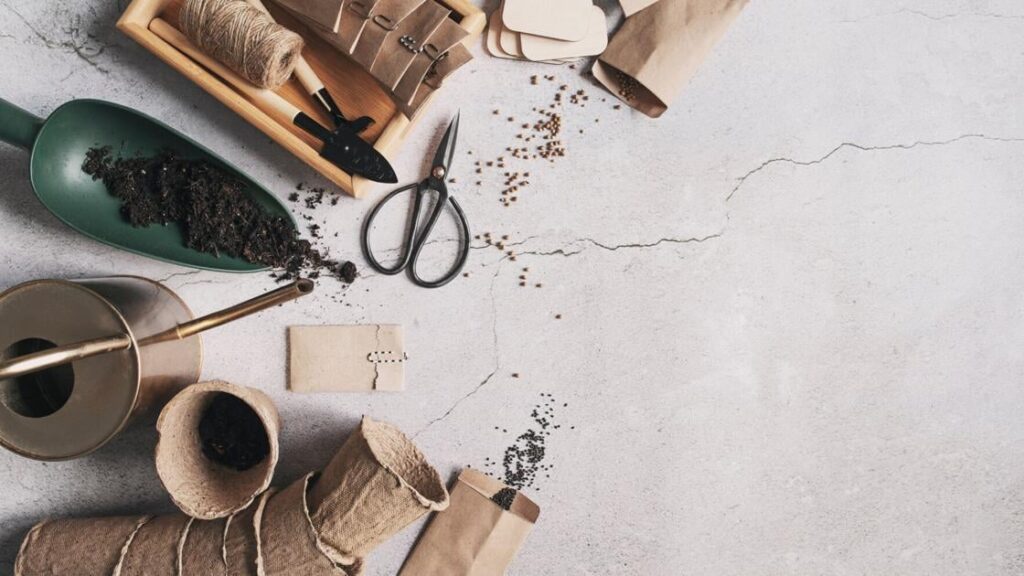 How to collect, clean and store garden seeds for next year How to collect, clean and store garden seeds for next year