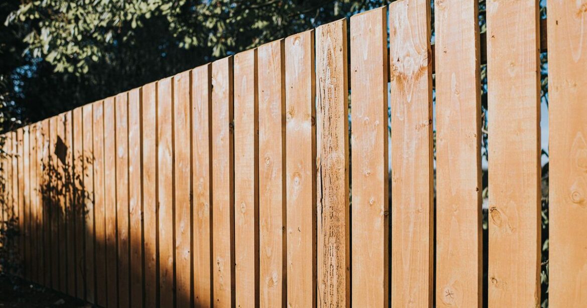 Gardens will 'feel bigger' if you paint your fence 1 specific colour
