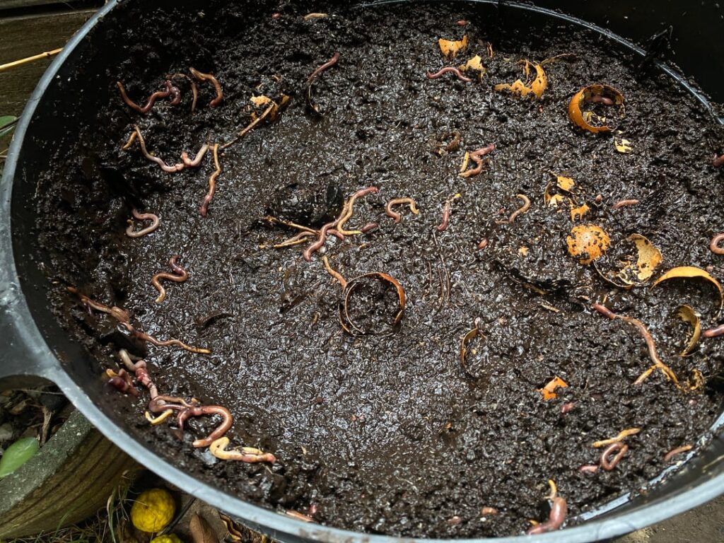 How do I fix my worm farm