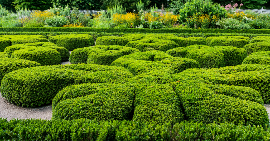 Mount Vernon’s New Gardens Director Unveils George Washington’s Passion for Agriculture. Mount Vernon's New Gardens Director Unveils George Washington's Passion for Agriculture.
