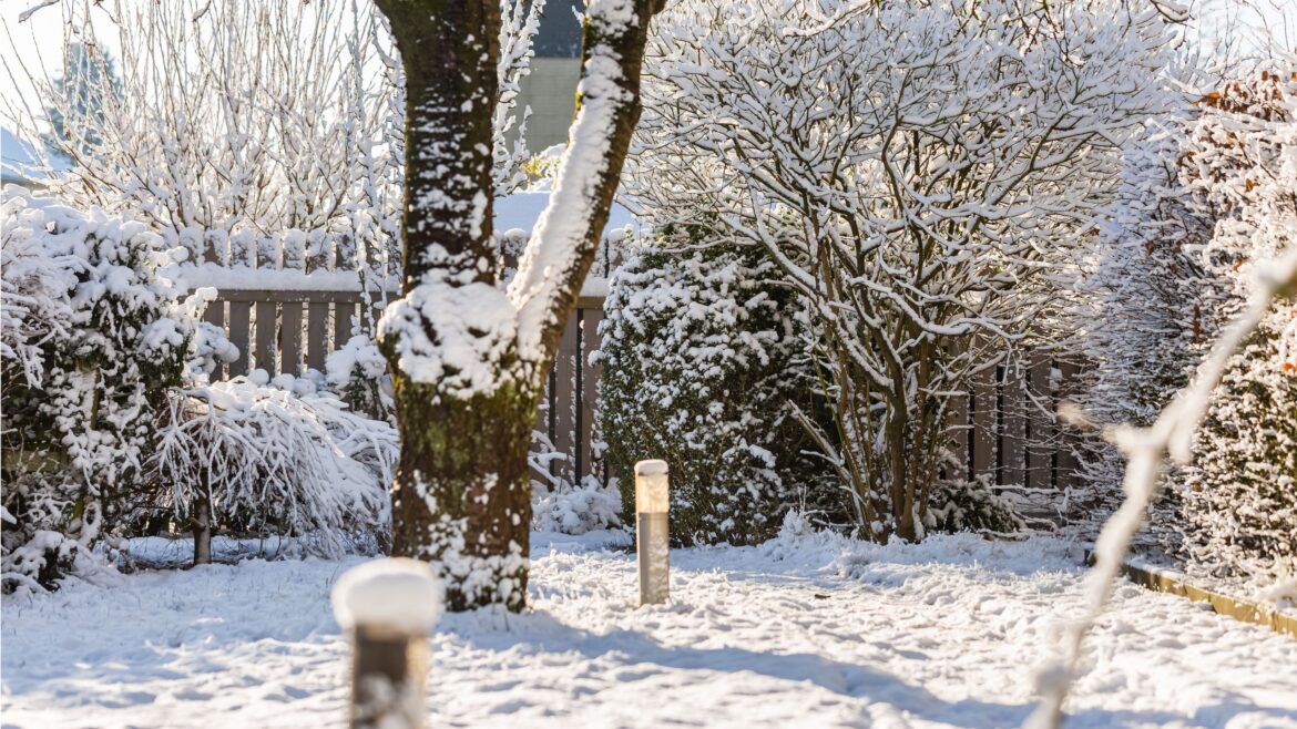 Farmers' Almanac Winter Forecast 2026: Prepare Your Yard Now