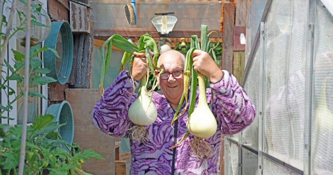 Viral gardening grandad sets out to inspire the young – The Irish News Viral gardening grandad sets out to inspire the young – The Irish News