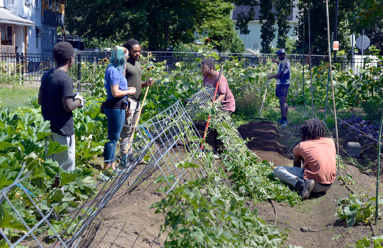 Gardening the Community