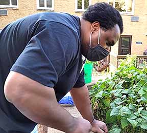 Man works in VA Farms and Gardens program plot