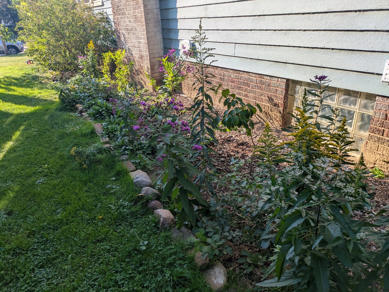 Reader question follow-up: Native plants for a foundation planting in Northeast Ohio