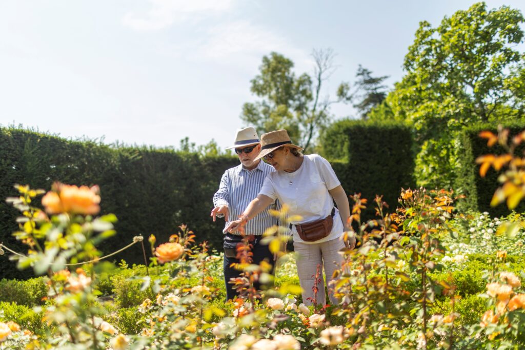 Visitors enjoying the rose garden. Photo: James Beck.