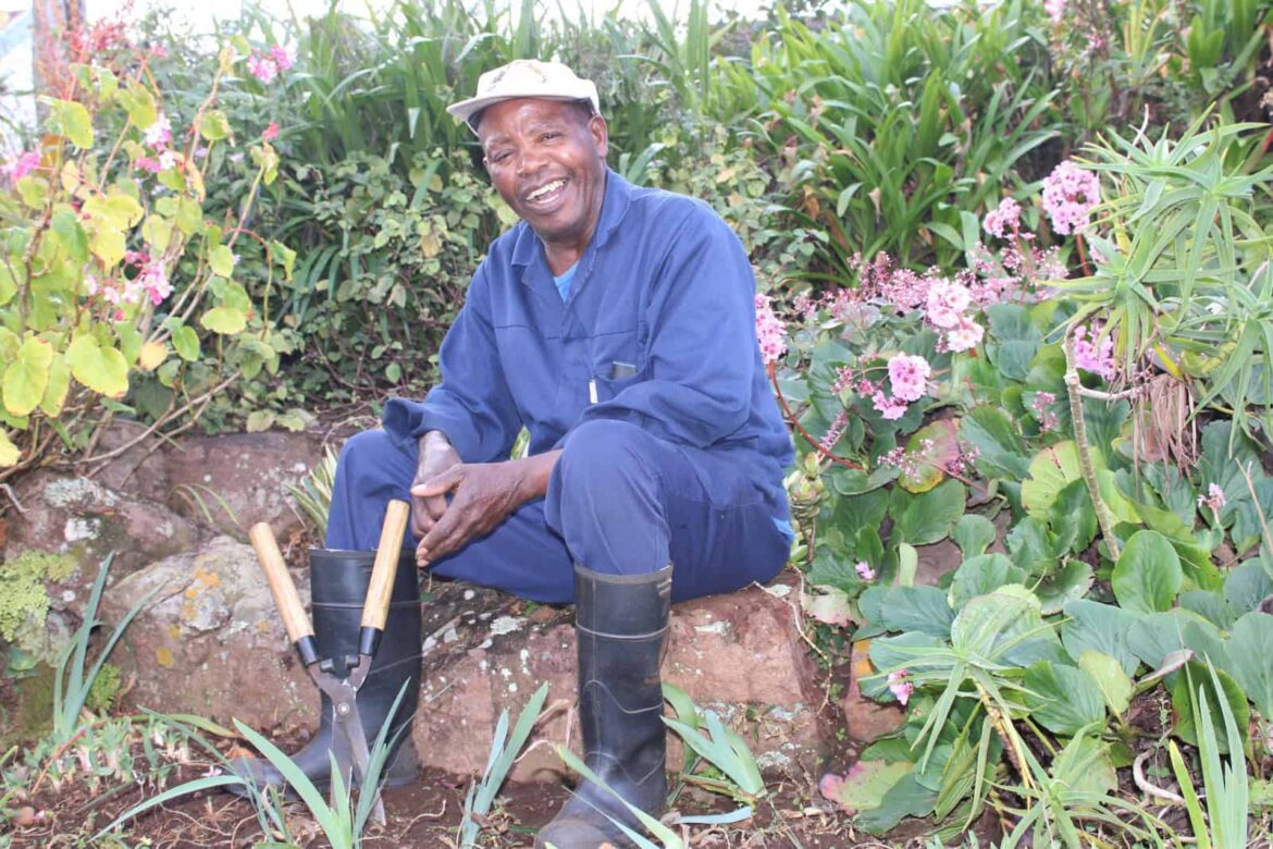 Beloved Hillcrest gardener bids farewell Beloved Hillcrest gardener bids farewell