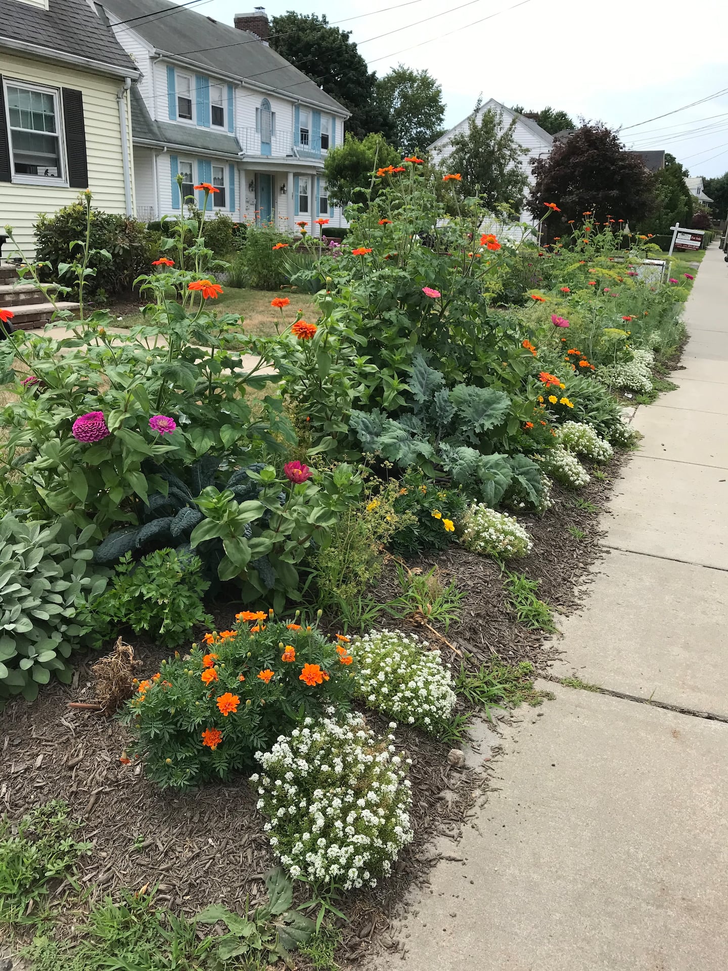 During the warm weather, all kinds of plants fill Kris Engdahl's Watertown front yard. 