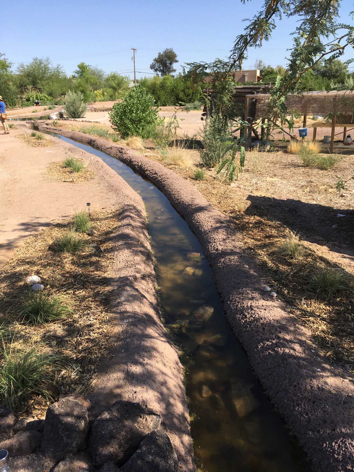 Acequia 