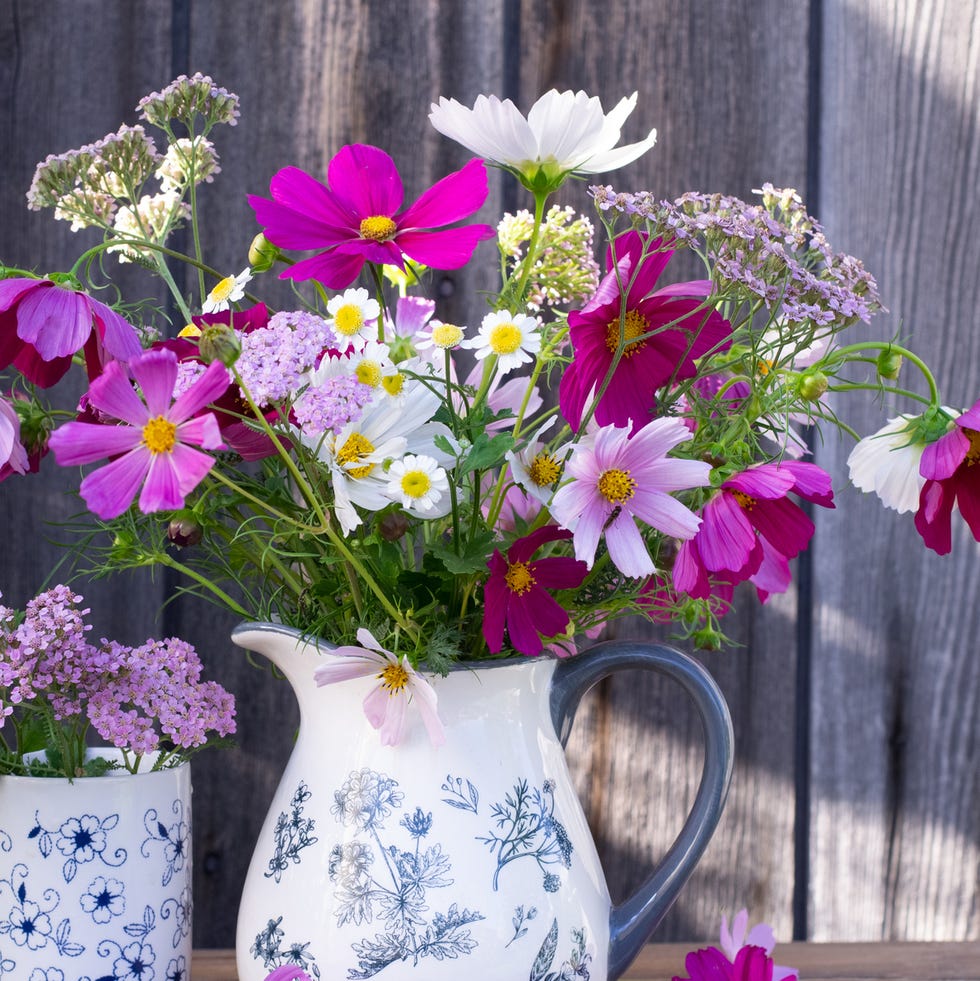 Bouquet of cosmos bouquet of cosmos in vase outdoors