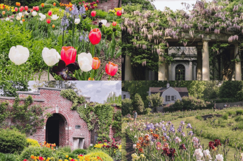 Best Gardens Montclair New Jersey Reshare FI