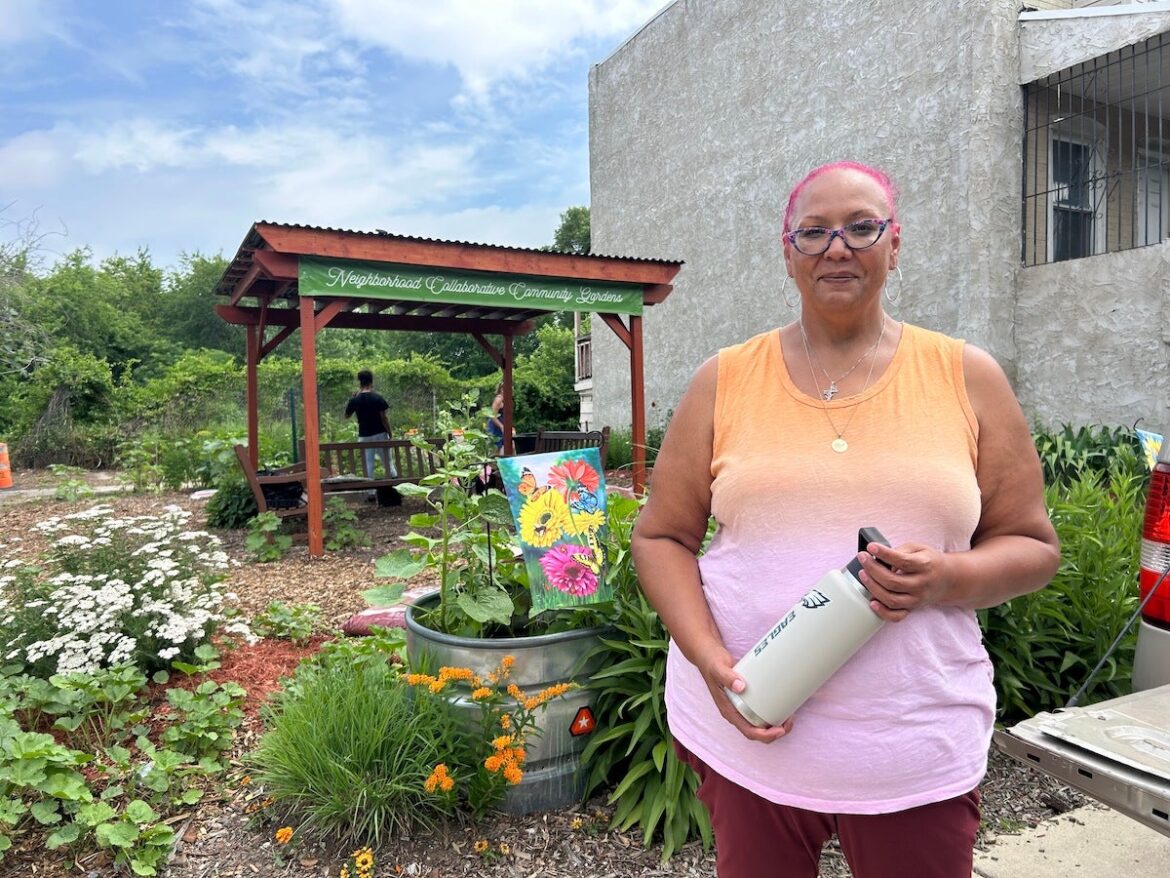 Camden heat: Keeping bus riders cool with shade, pollinator gardens
