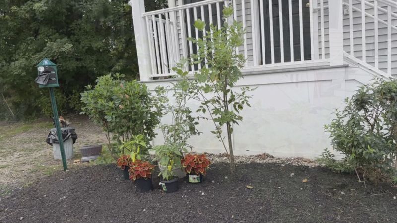Vegetable garden (Contributed)