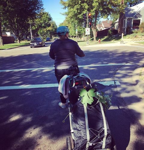 Person on bicycle with trailer filled with plants, at stoplight