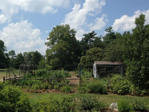 gsgp_veggiegarden
