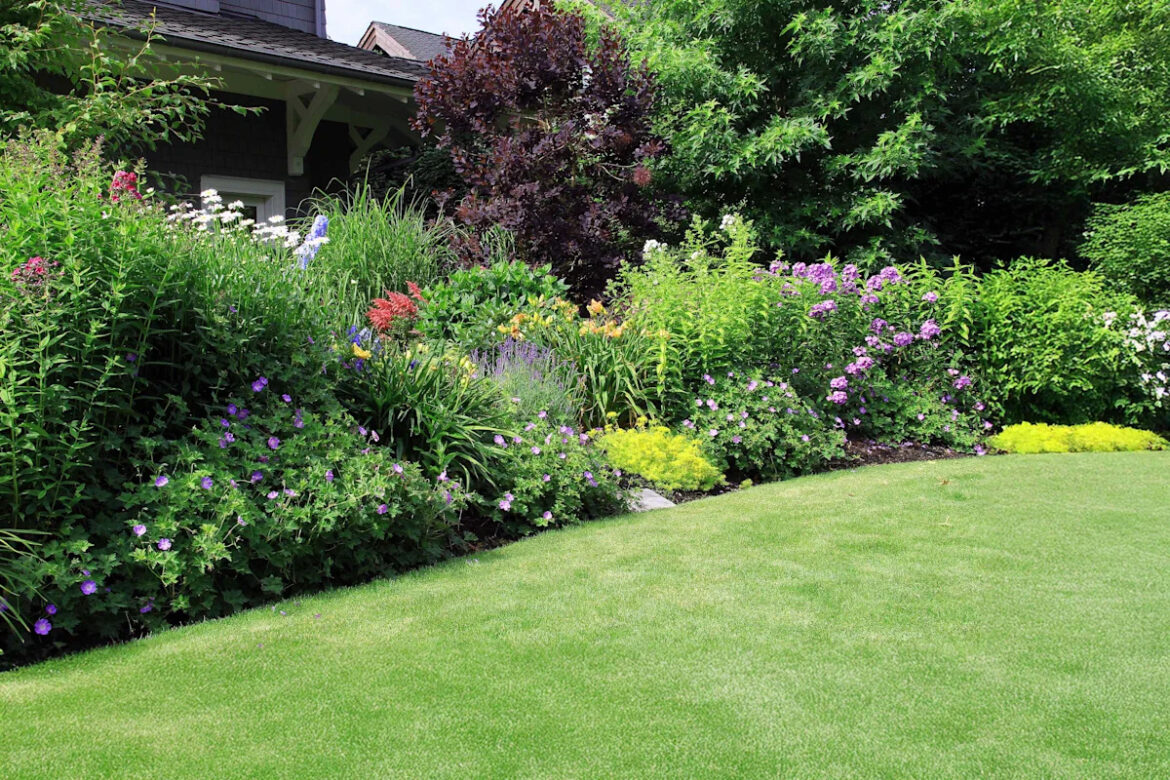 6 Essential Lawn Care Tasks to Complete Before August Ends 6 Essential Lawn Care Tasks to Complete Before August Ends