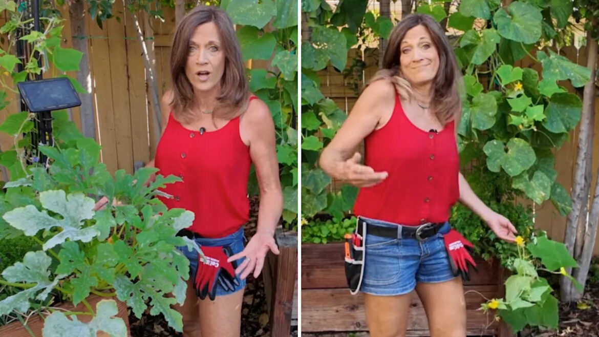 California gardener spotlights 3 summer problems that can quietly ruin your vegetable harvest