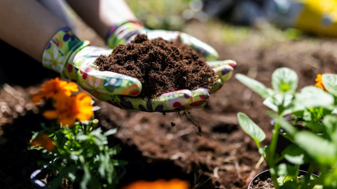 Summer heat can turn compost crispy, but one simple fix can get it cooking again