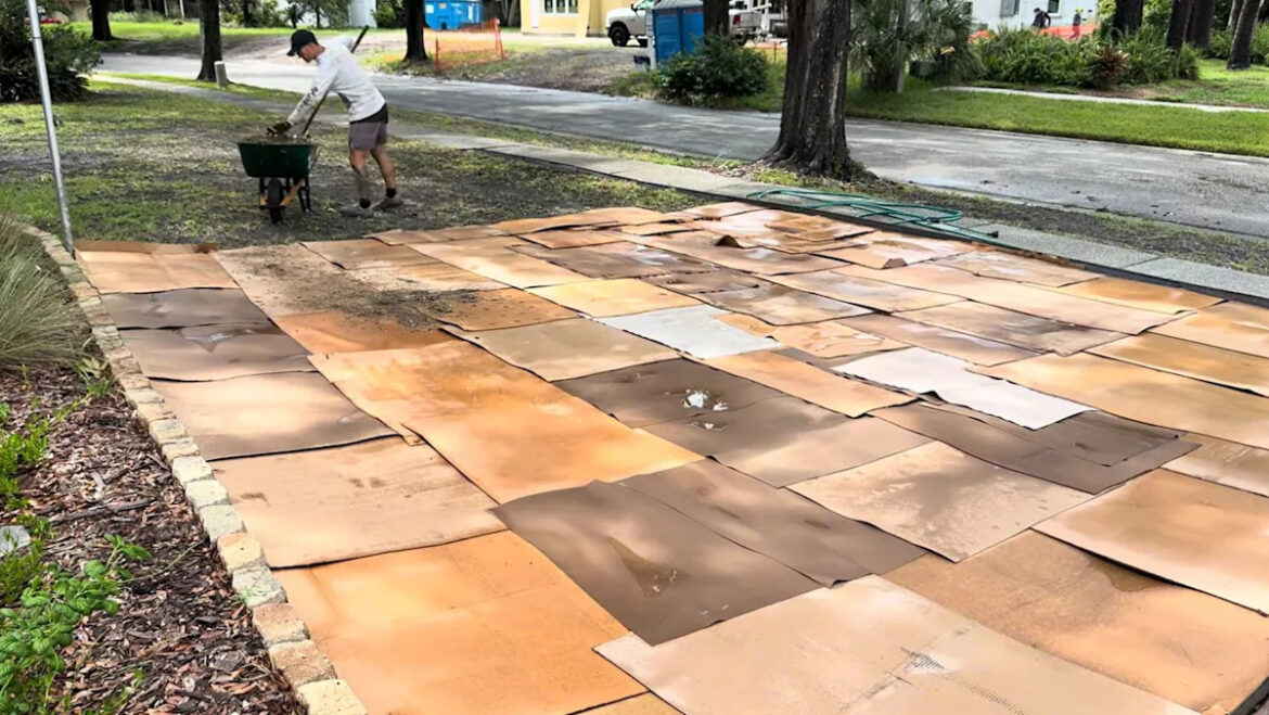 Florida homeowner covered a front yard with cardboard to build a native pollinator garden Florida homeowner covered a front yard with cardboard to build a native pollinator garden