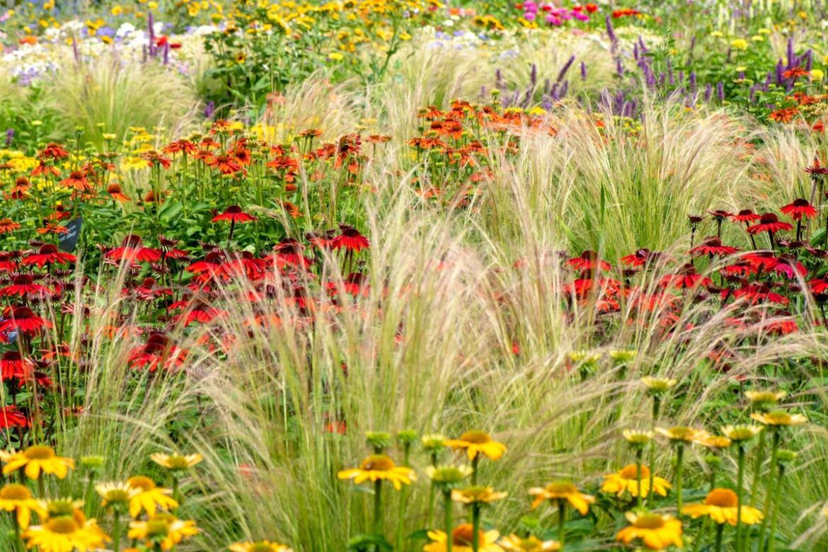 These Ornamental Grasses Will Give Your Fall Garden Gorgeous Texture These Ornamental Grasses Will Give Your Fall Garden Gorgeous Texture