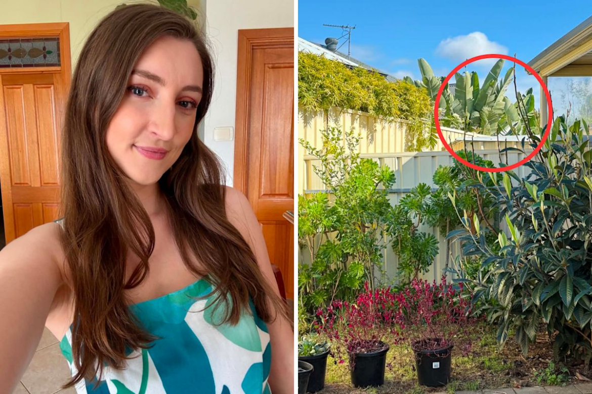 Woman’s astonishing backyard find sparks gardening warning for Aussies Woman's astonishing backyard find sparks gardening warning for Aussies