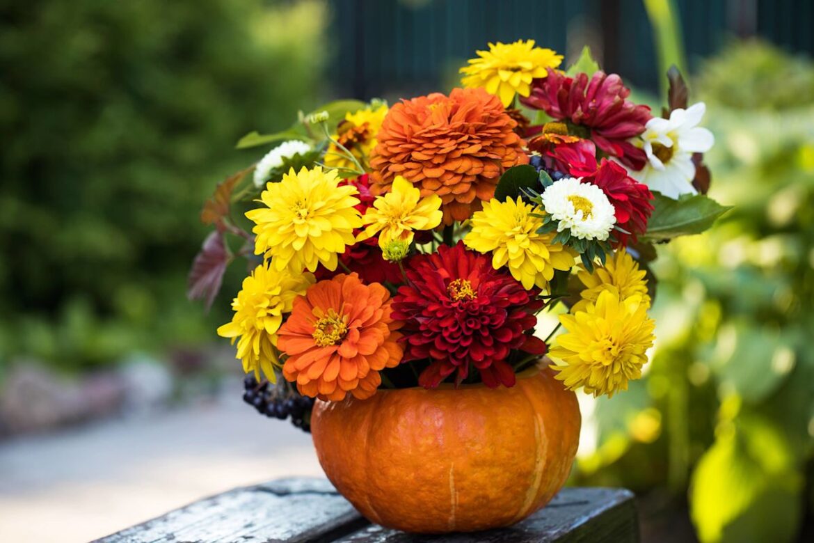 Gardener Transforms This Quintessential Fall Vegetable Into a Blooming Marigold Planter Gardener Transforms This Quintessential Fall Vegetable Into a Blooming Marigold Planter