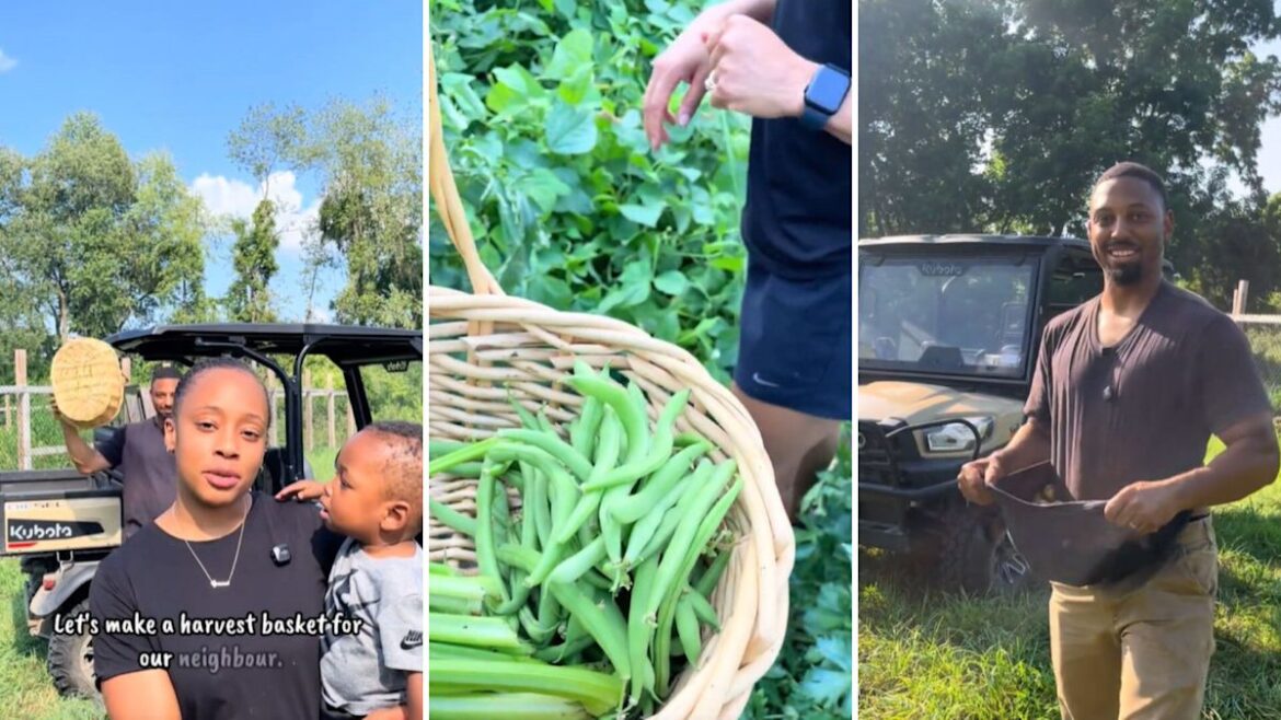 Gardener’s harvest shows an imperfect backyard garden can feed a family, and even the neighbors Gardener's harvest shows an imperfect backyard garden can feed a family, and even the neighbors