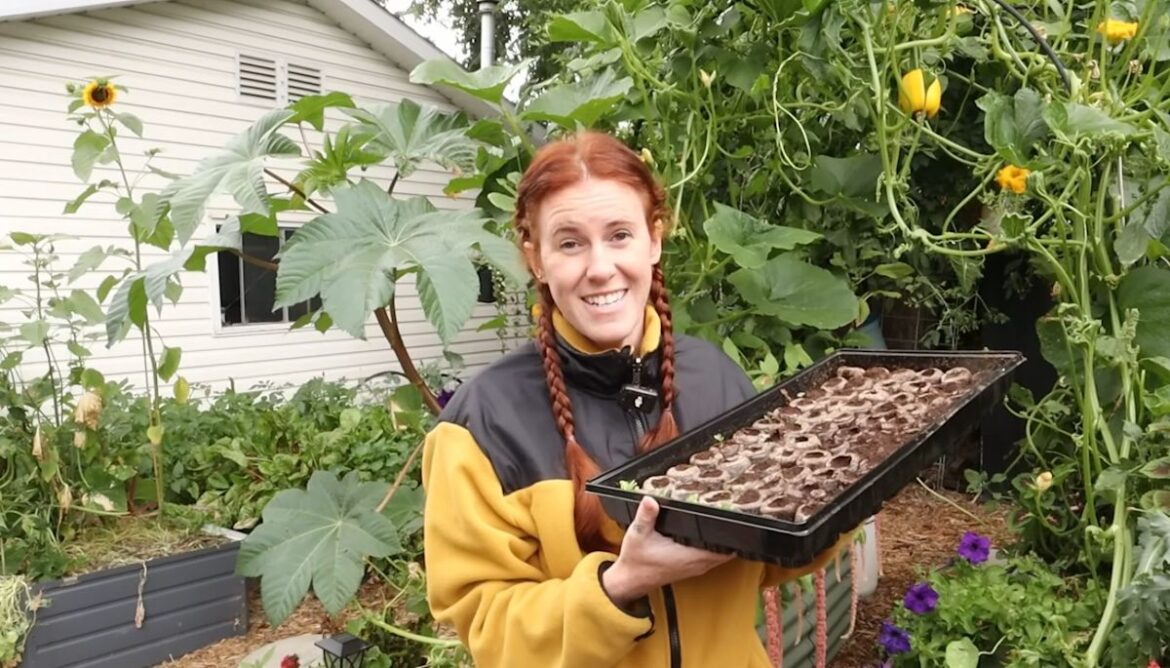 Canada gardeners can still plant fast fall crops in August, even with October snow