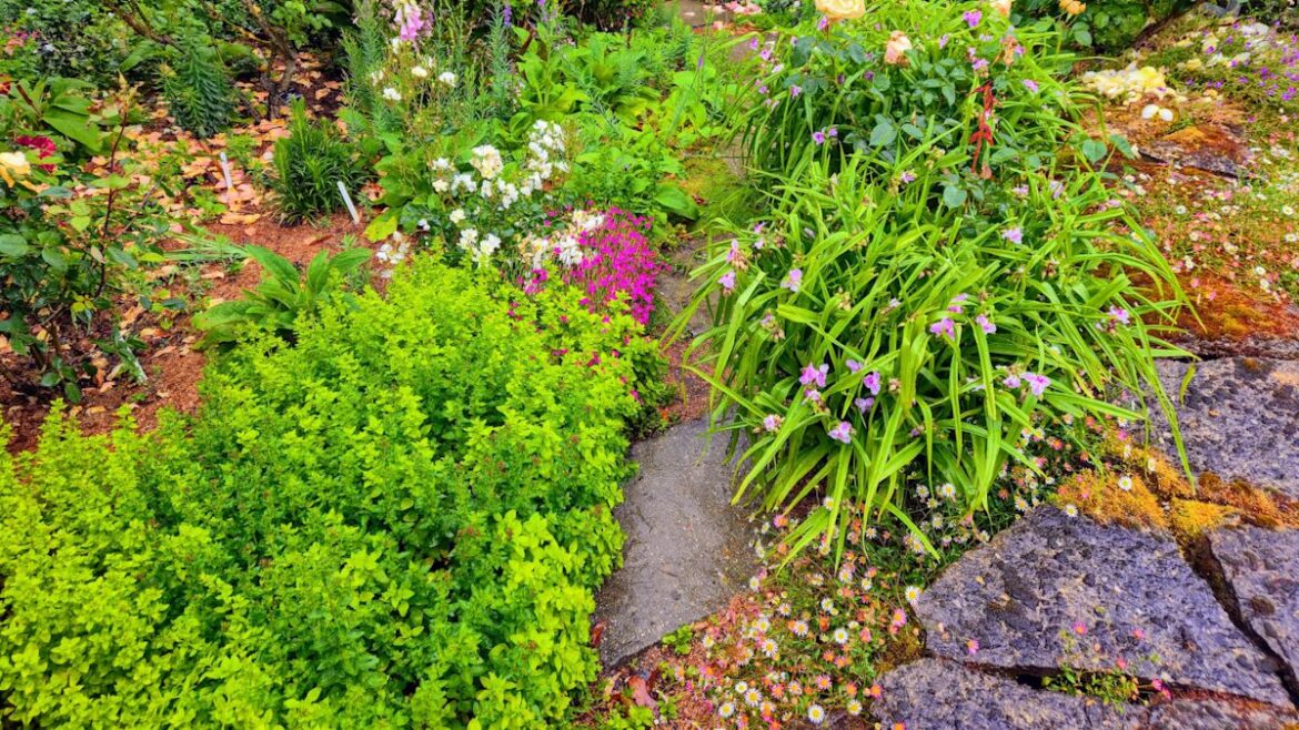 HOA approved his garden in writing, then a new board fined him for the same design a year later HOA approved his garden in writing, then a new board fined him for the same design a year later