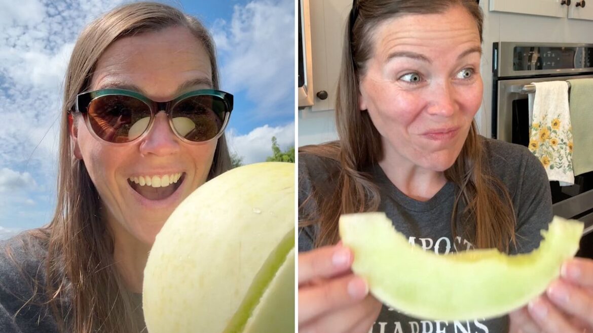 Maryland gardener’s one-fruit harvest shows how fast honeydew can turn on the vine Maryland gardener's one-fruit harvest shows how fast honeydew can turn on the vine