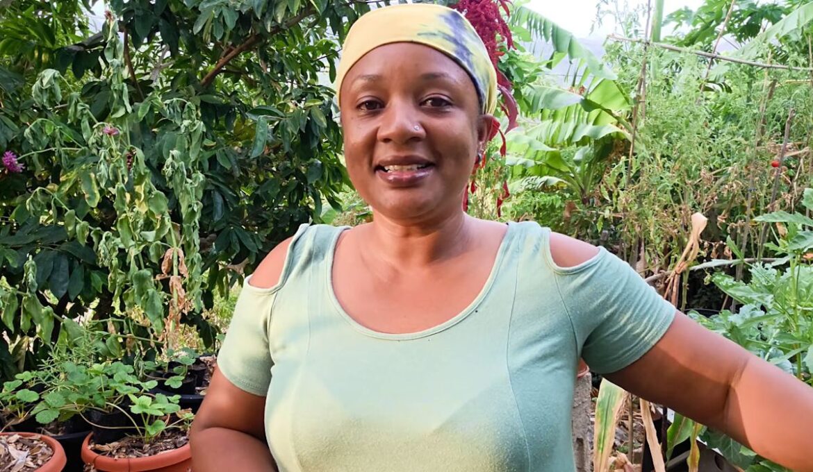Backyard gardener transformed 2 near-dead strawberry plants into 40 new free plants Backyard gardener transformed 2 near-dead strawberry plants into 40 new free plants