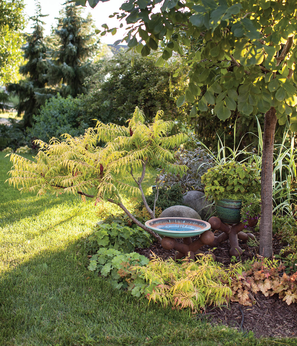 Birdbath in Engelmann's Garden