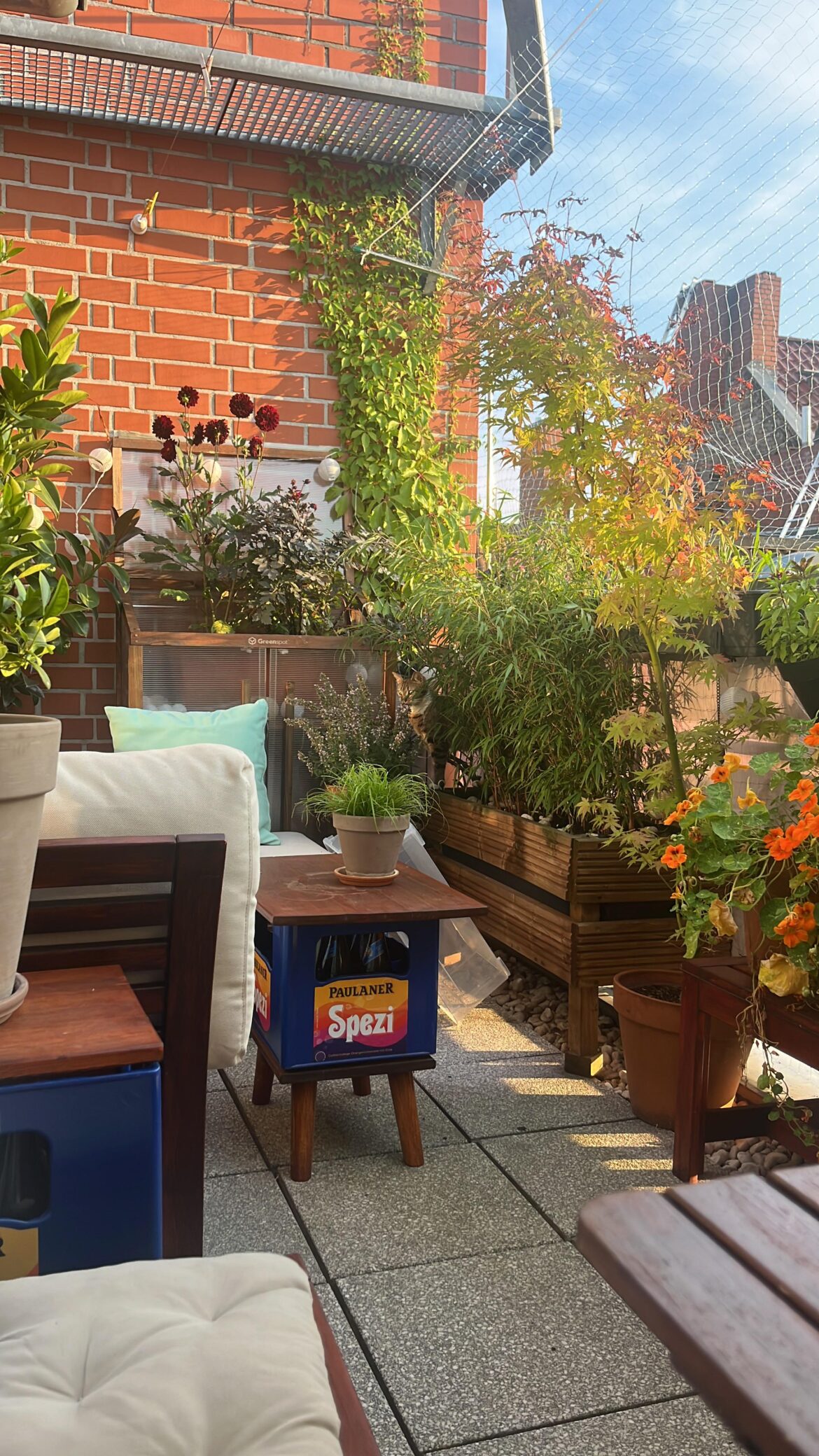 Berlin Balcony