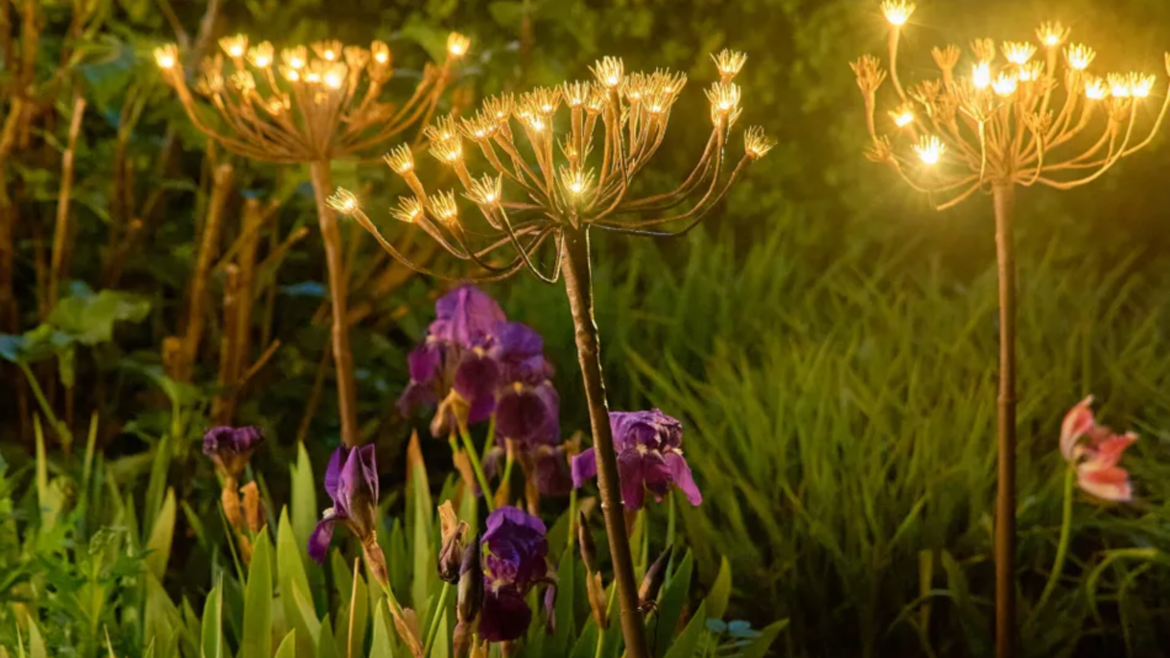 These Fennel-Inspired Lights Make Your Garden Look Enchanted | These Fennel-Inspired Lights Make Your Garden Look Enchanted |