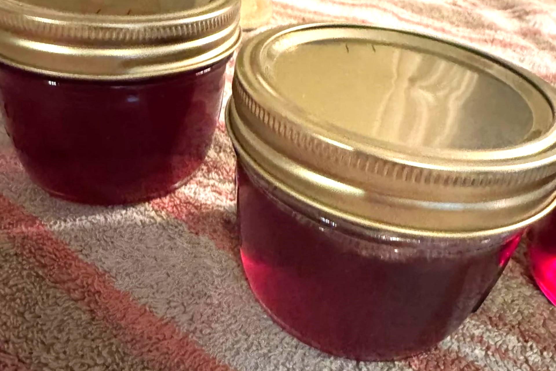 Gardener keeps family tradition alive by turning backyard grapes into homemade jelly - All For Gardening