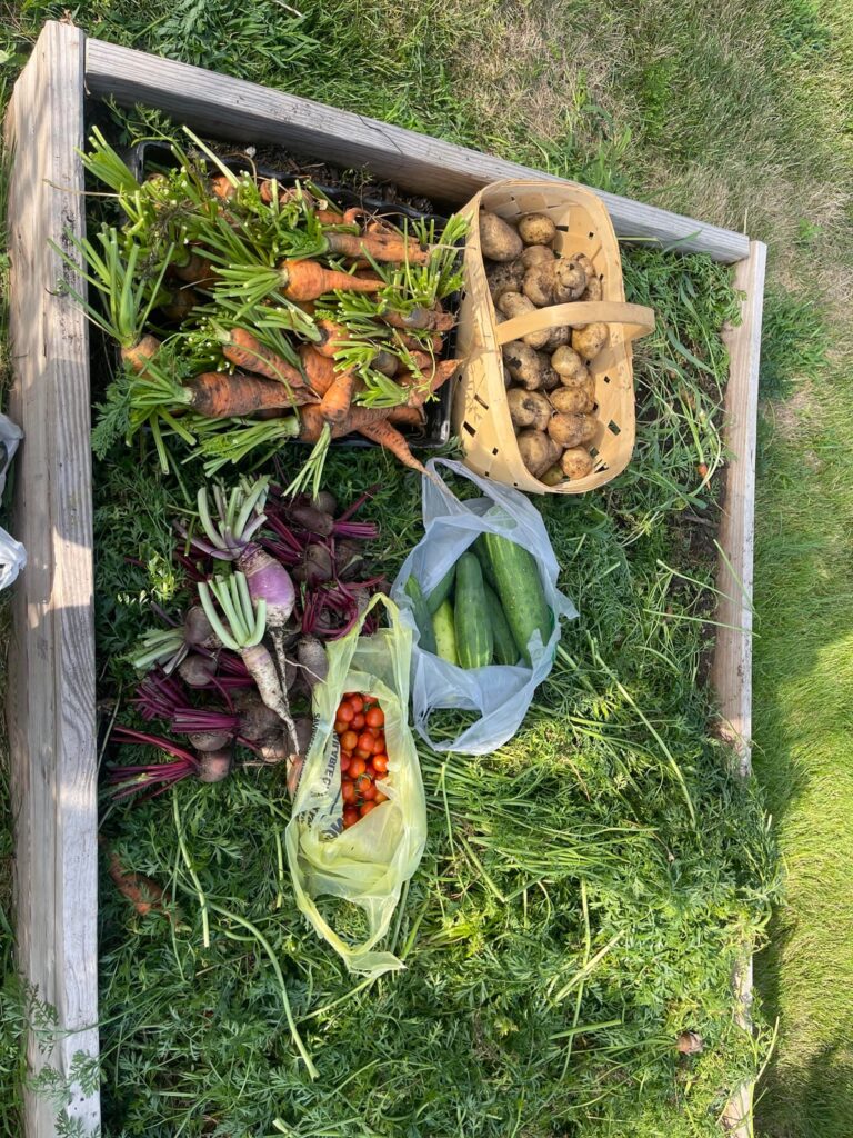 Some harvests