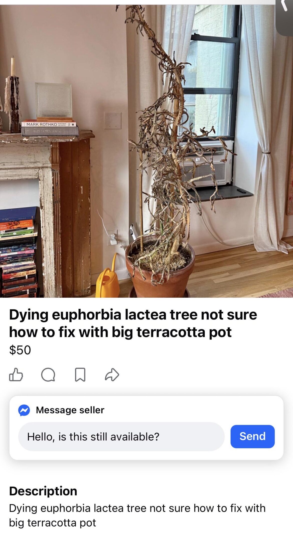 Only $50?!?!
