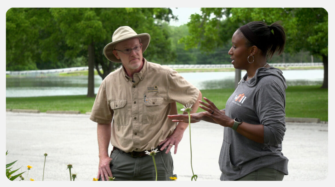 Create a Pollinator Pocket: How to Nurture Pollinators in Your Yard | Mid-American Gardener Create a Pollinator Pocket: How to Nurture Pollinators in Your Yard | Mid-American Gardener