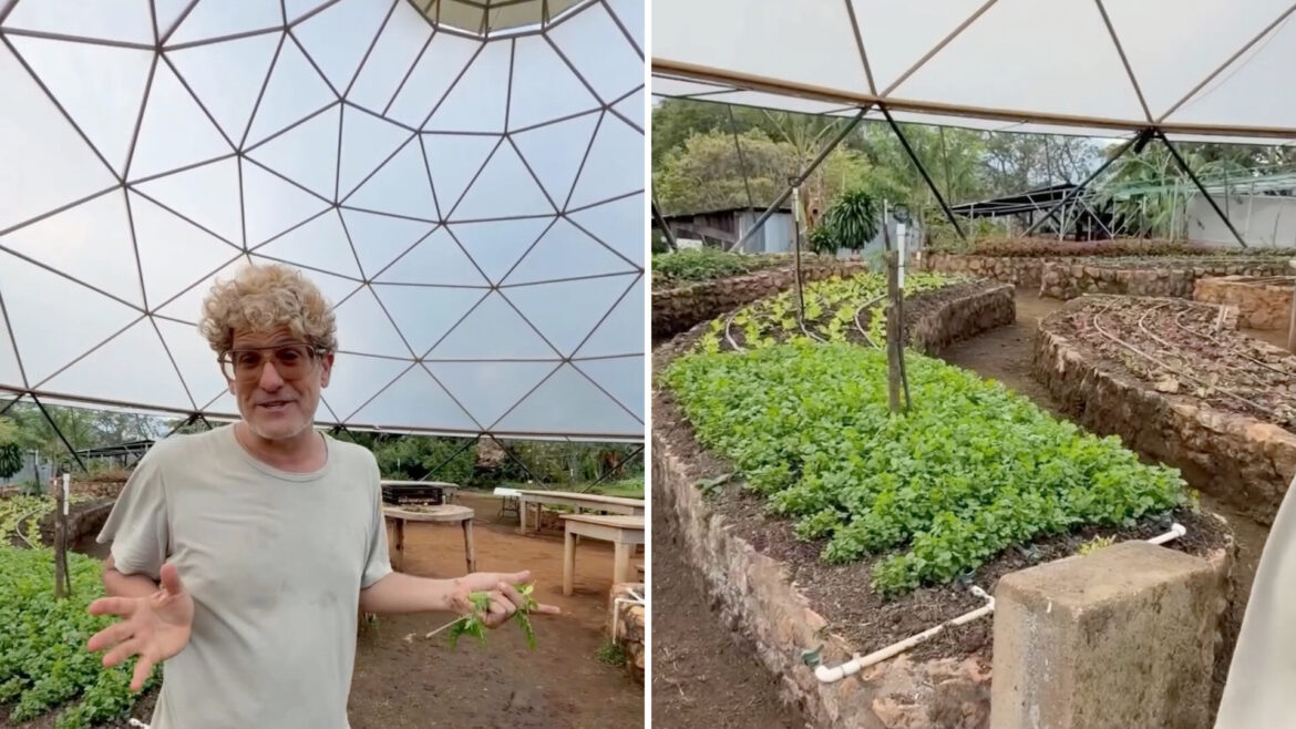 A single tree can feed, shade, and heal soil, and that’s why regenerative gardens endure A man stands under a domed greenhouse with plants growing in raised beds around him.
