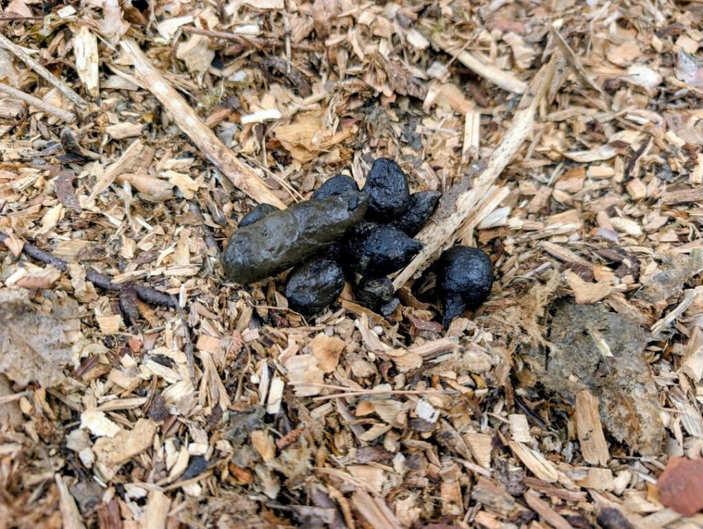 Need Help with Identification