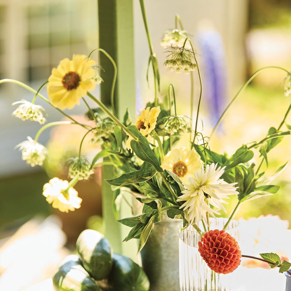 Embrace Autumn Gardening Embrace Autumn Gardening