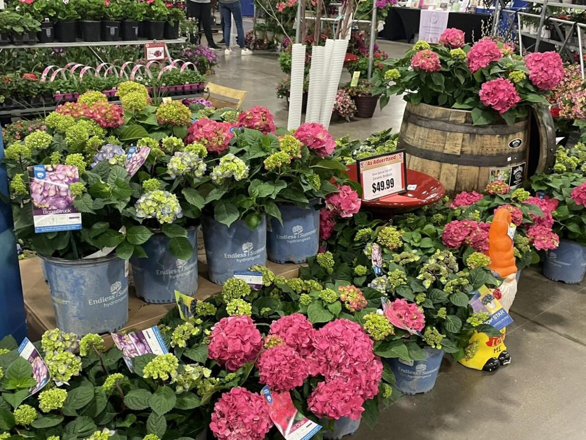 5 Reasons Not To Miss The 2025 Dakota Garden Expo Bismarck 5 Reasons Not To Miss The 2025 Dakota Garden Expo Bismarck