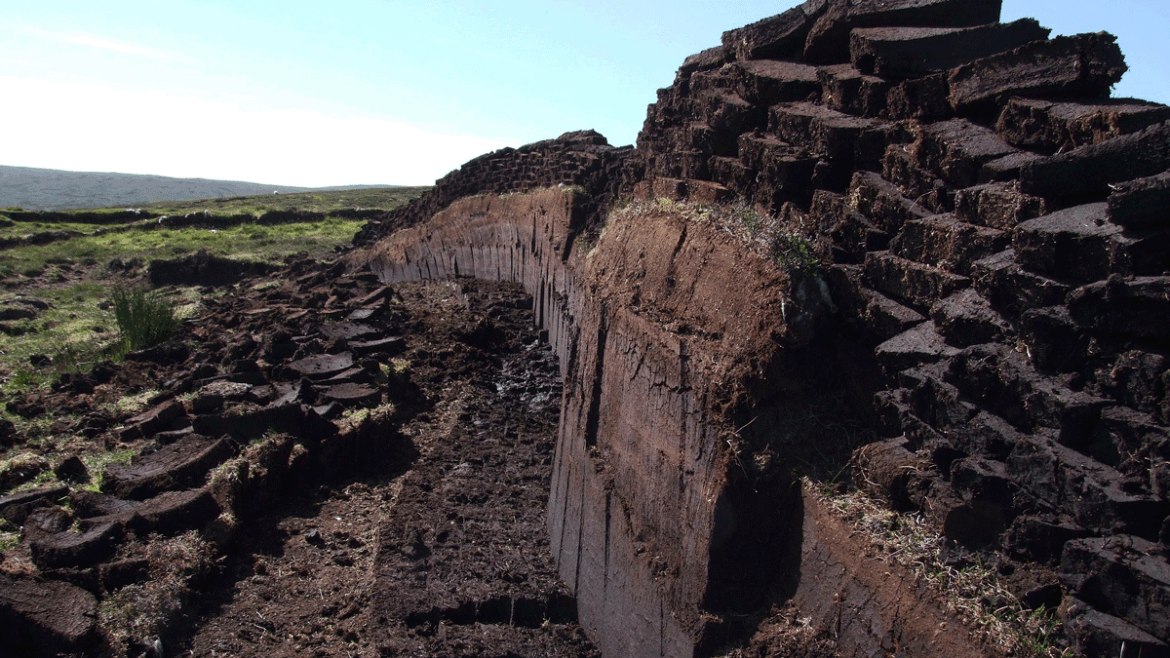 Let’s Grow Stuff: The case for going peat-free Let's Grow Stuff: The case for going peat-free