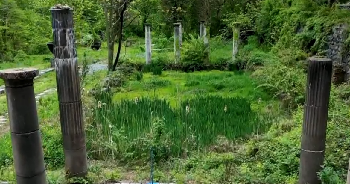 How a secret Delaware garden suddenly reemerged during the pandemic How a secret Delaware garden suddenly reemerged during the pandemic