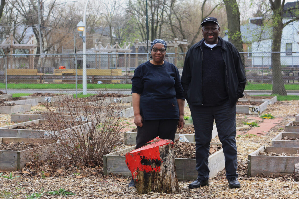 A Homegrown, Community-Raised Garden – South Side Weekly A Homegrown, Community-Raised Garden – South Side Weekly