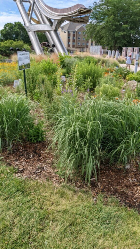 Growing a garden where pollinators will flourish – Agweek Growing a garden where pollinators will flourish - Agweek