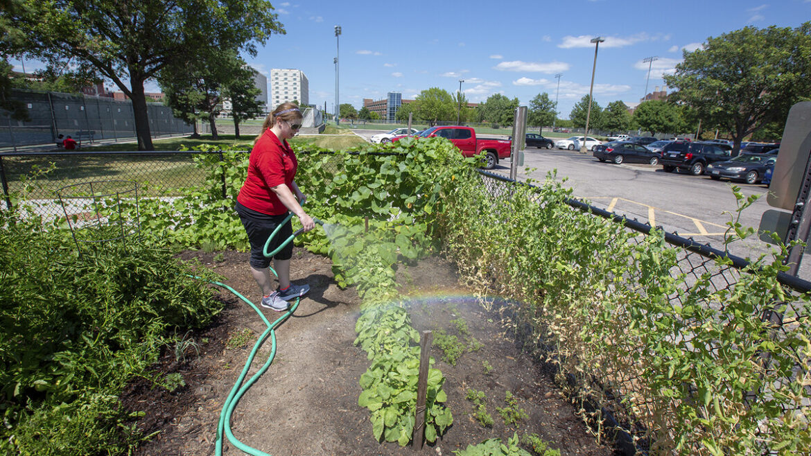 Cather garden redefines good, fresh, local